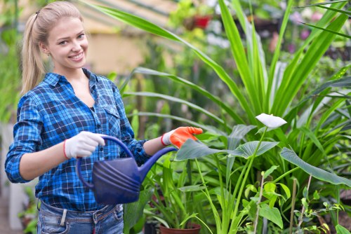 Gardening team clearing overgrown back yard and sorting green waste