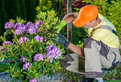 Gardener assessing a front garden in Harlesden for a quote